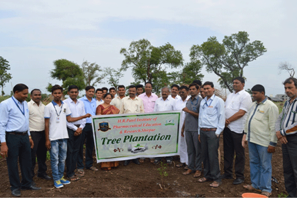 Tree Plantation Drive